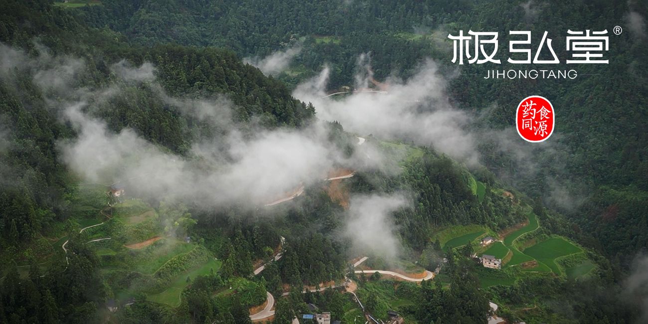 极弘堂